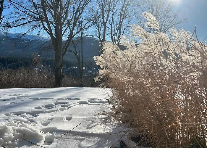 Karkonosky - Izerski Ogród Apartamento
