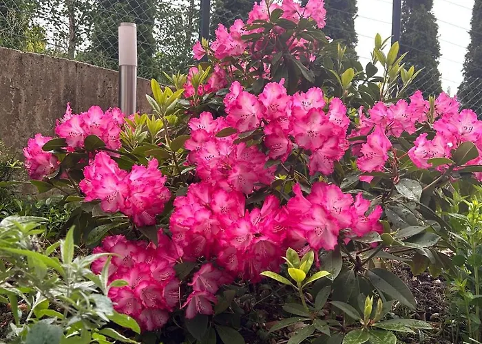 Апартаменты Karkonosky - Izerski Ogrod